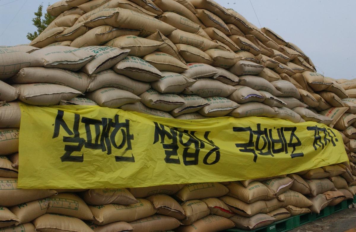 합천농민군청쌀