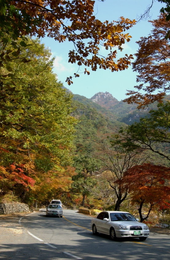해인사단풍길