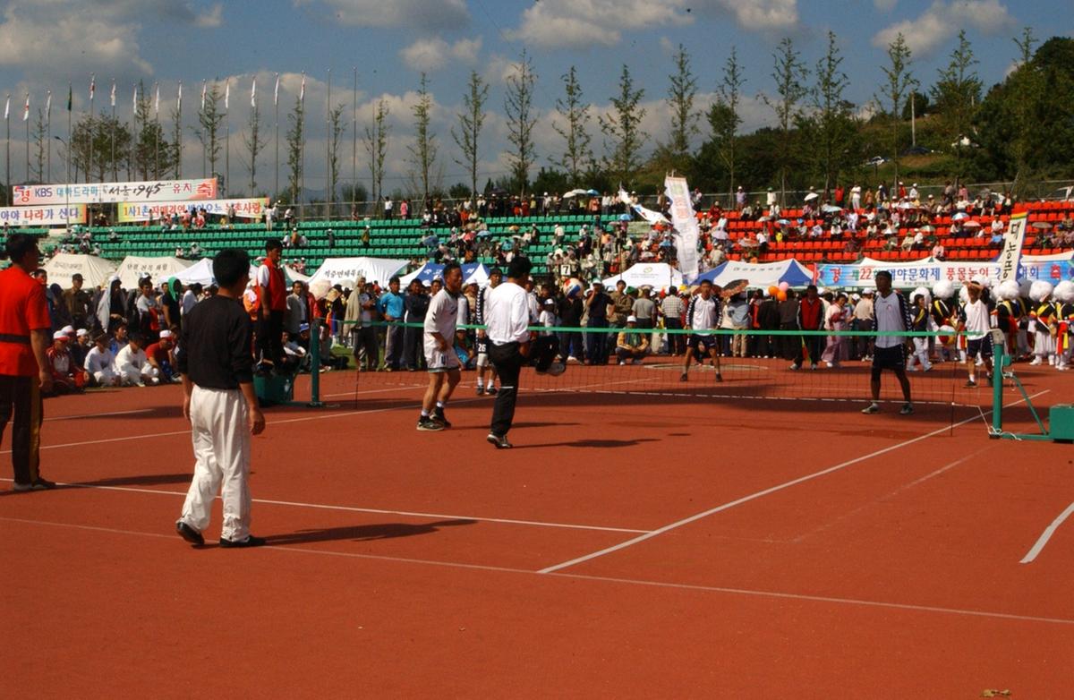 대야문화제족구