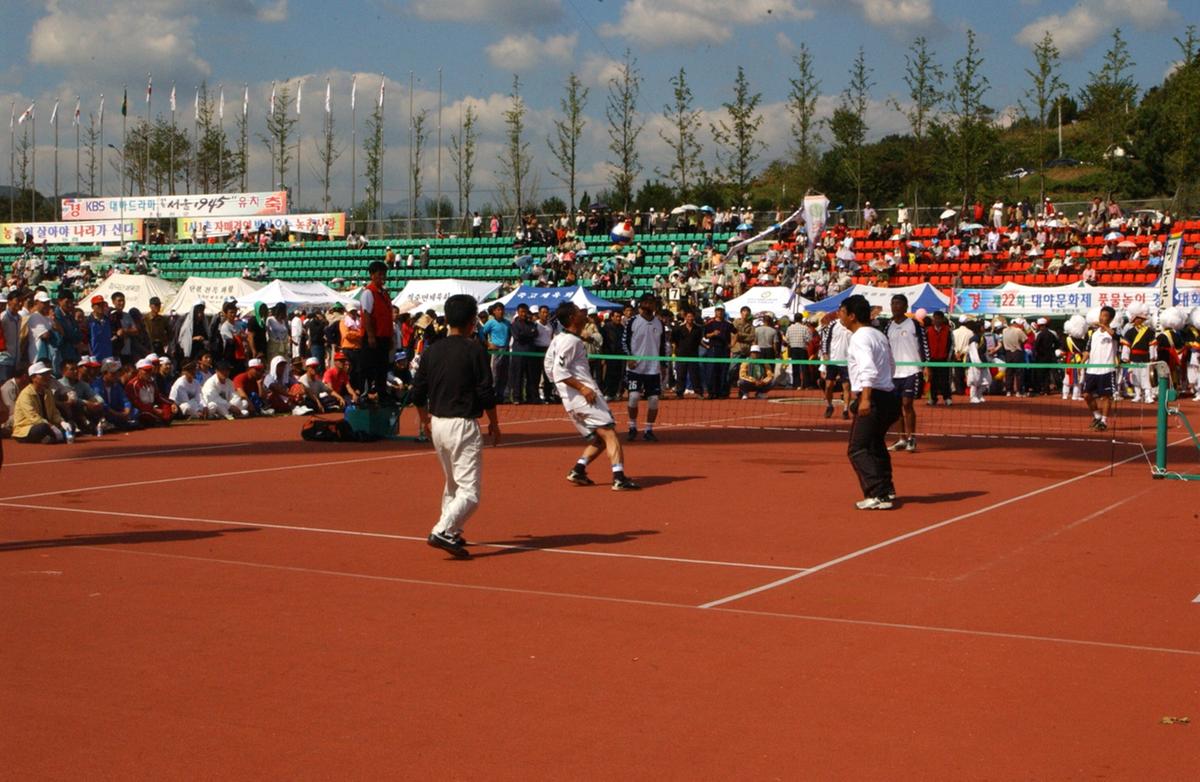 대야문화제족구