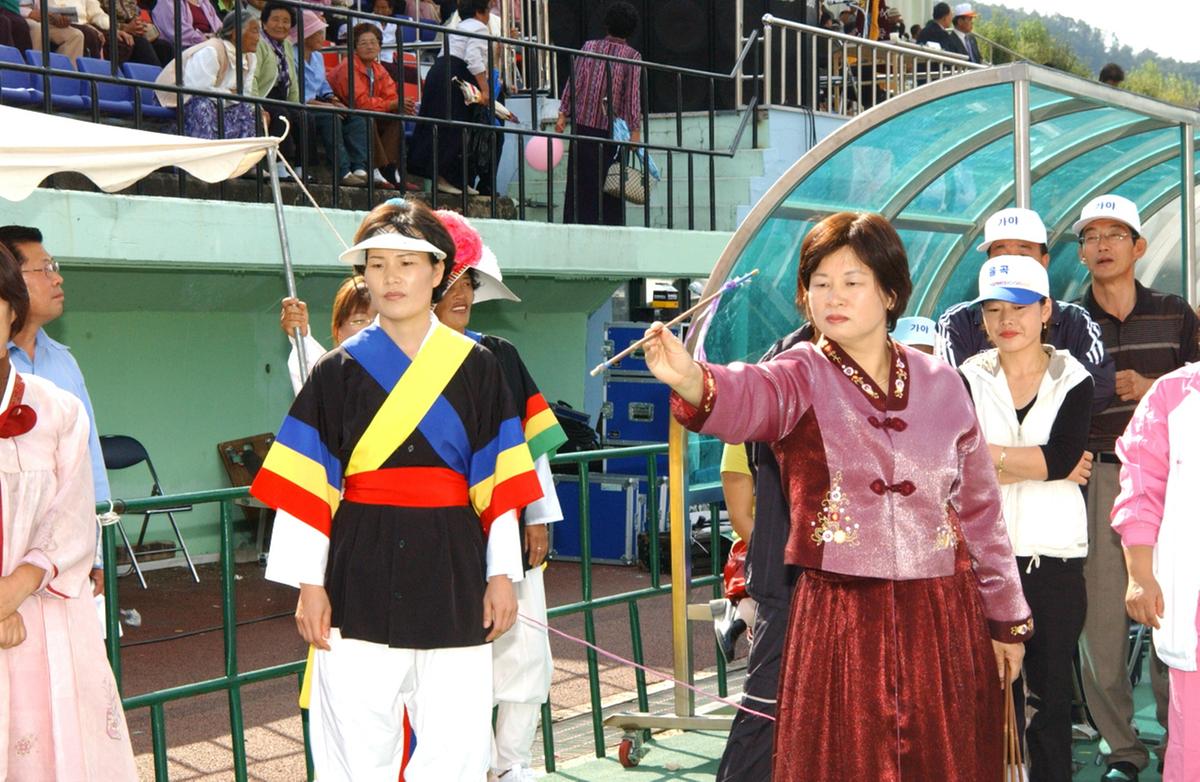 대야문화제투호