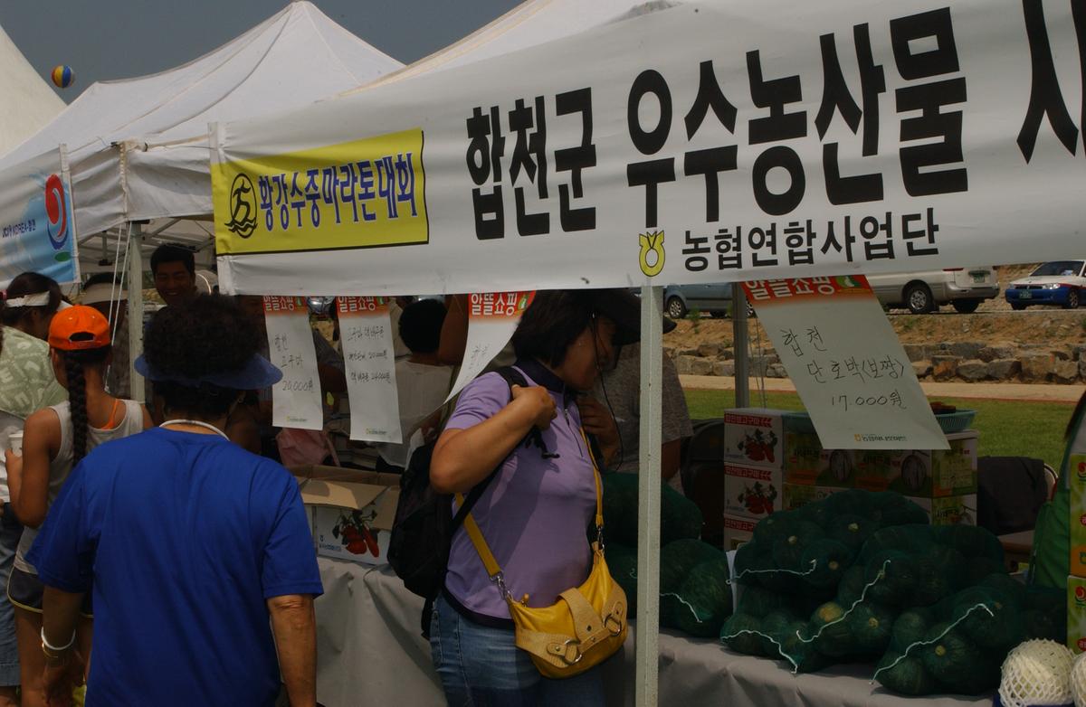 수중마라톤대회