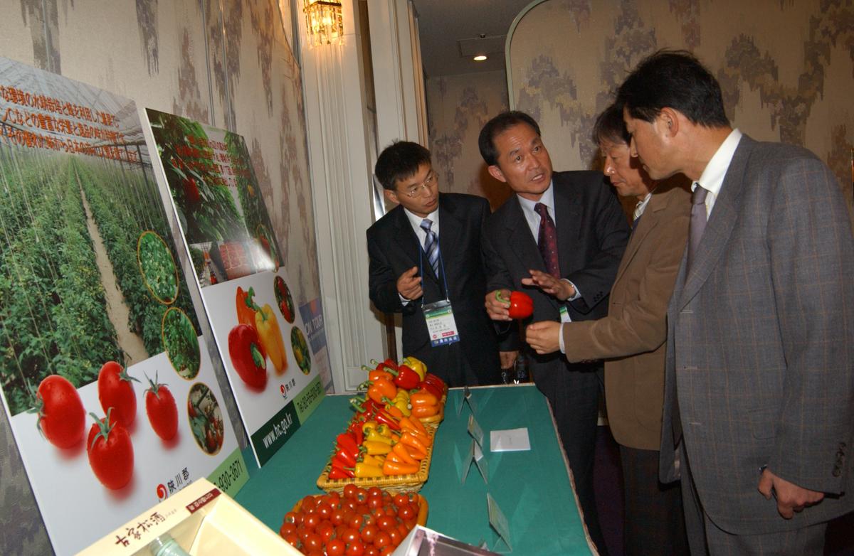 2005일보교류-1