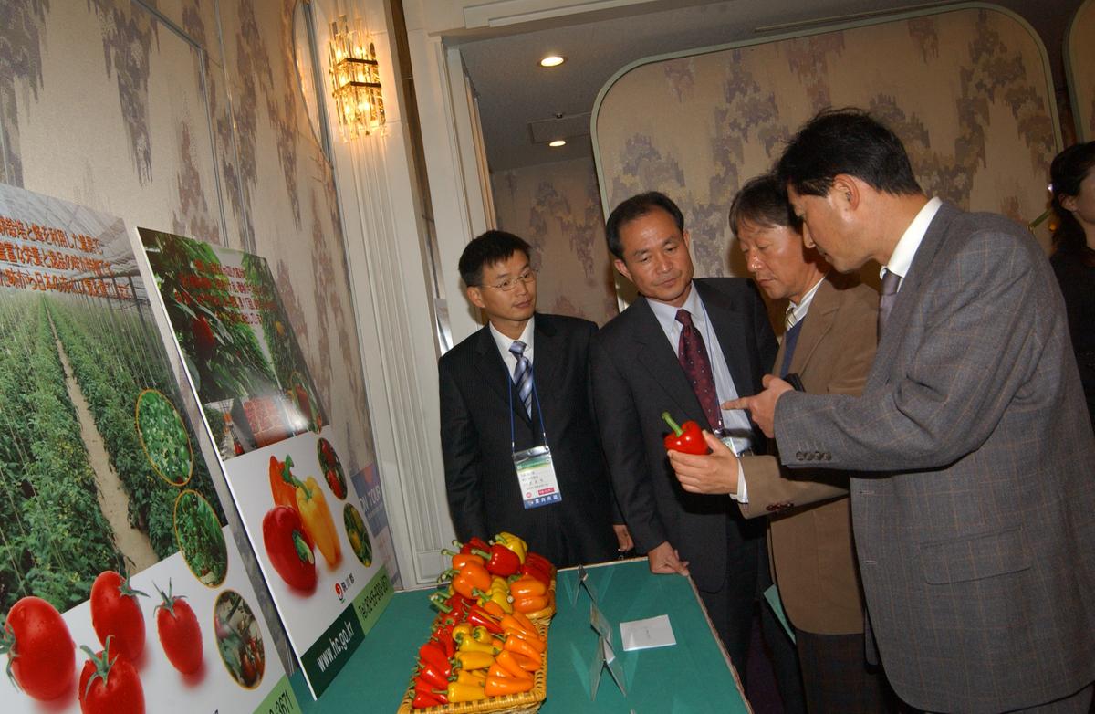 2005일보교류-2