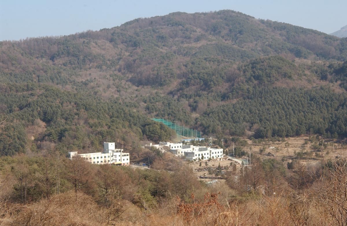 20050118 해인사 고불-3