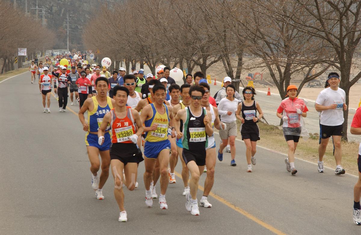 20050403 합천벚꽃마라톤대회11