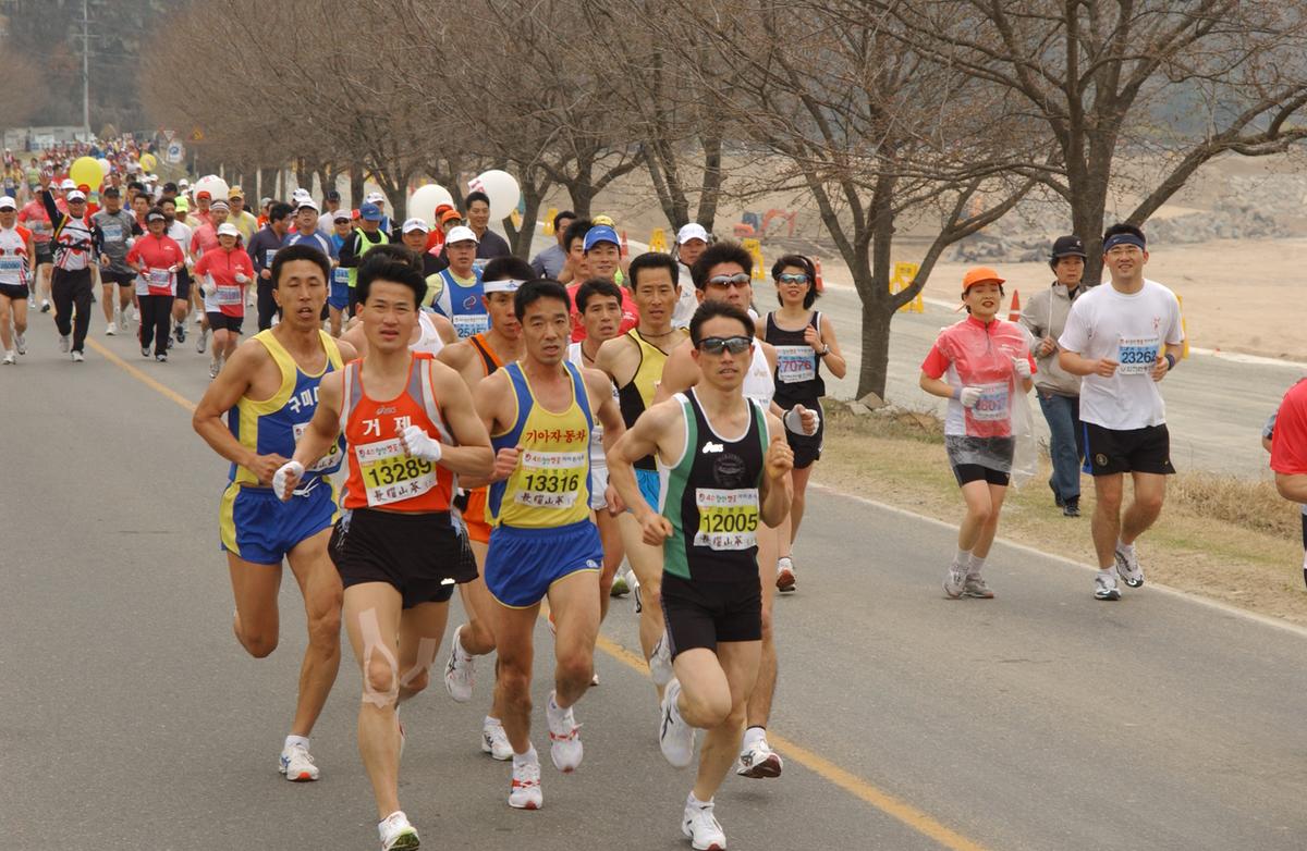 20050403 합천벚꽃마라톤대회11