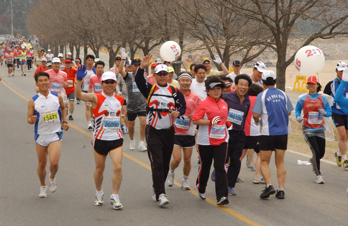 20050403 합천벚꽃마라톤대회11