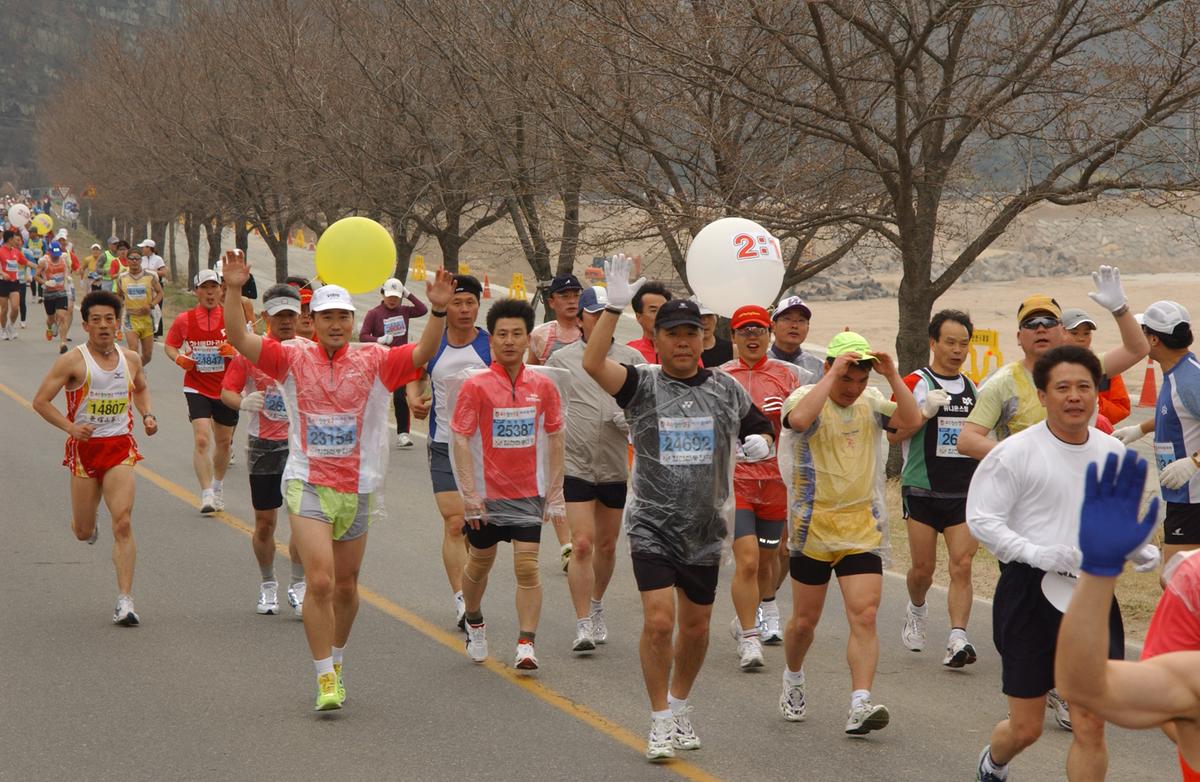 20050403 합천벚꽃마라톤대회11