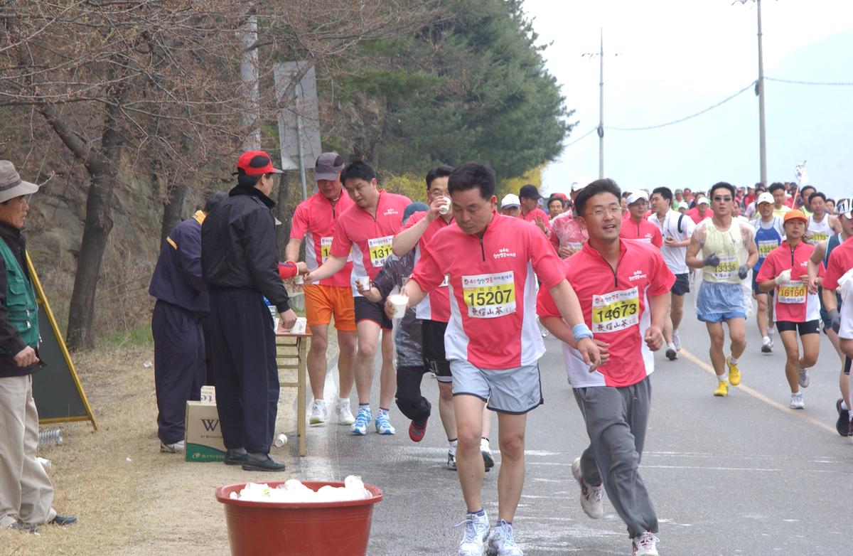20050403 합천벚꽃마라톤대회11