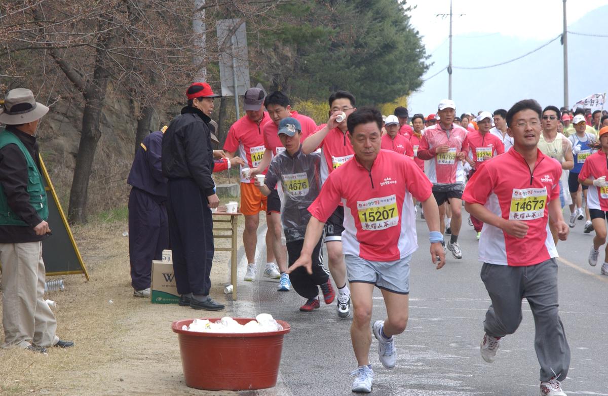20050403 합천벚꽃마라톤대회11