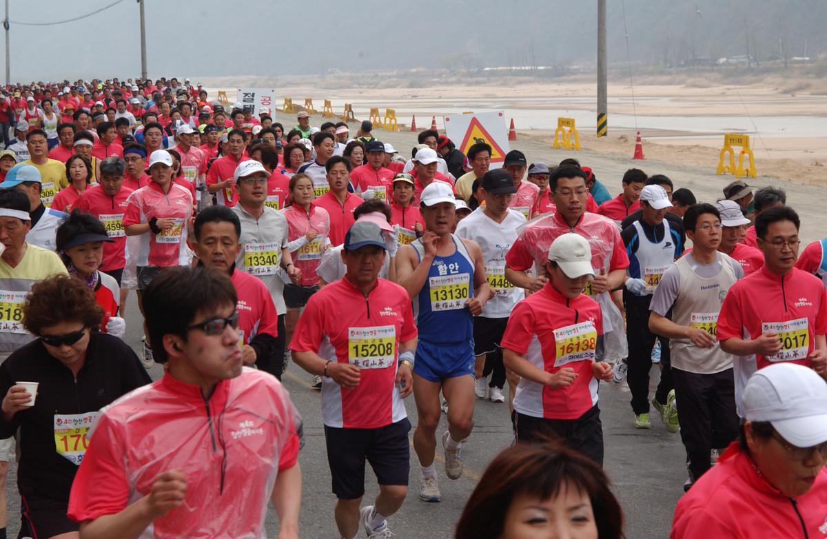20050403 합천벚꽃마라톤대회11