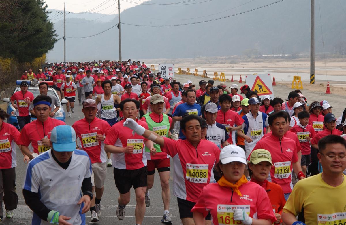 20050403 합천벚꽃마라톤대회11