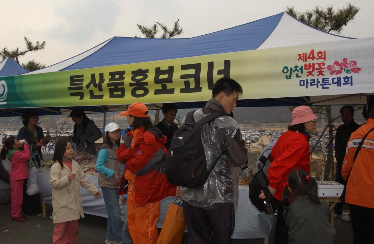 20050403 합천벚꽃마라톤대회11