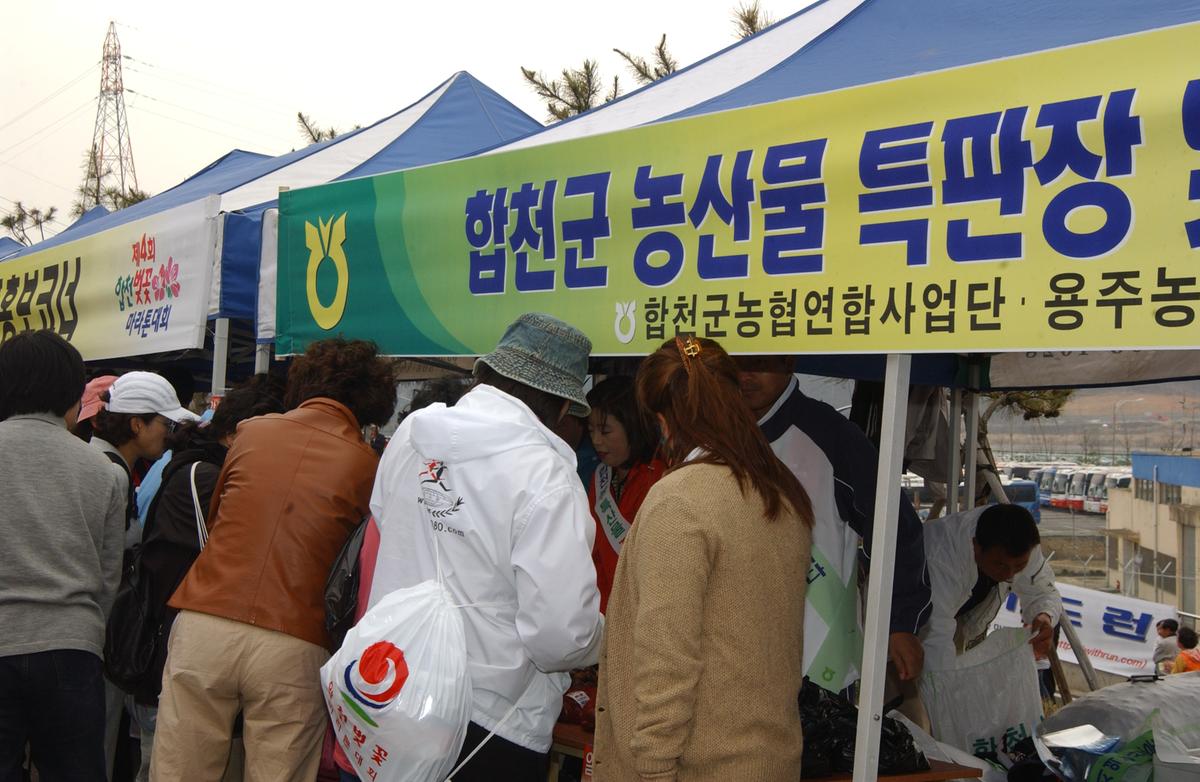 20050403 합천벚꽃마라톤대회11