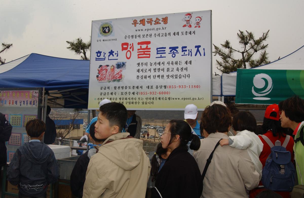 20050403 합천벚꽃마라톤대회11