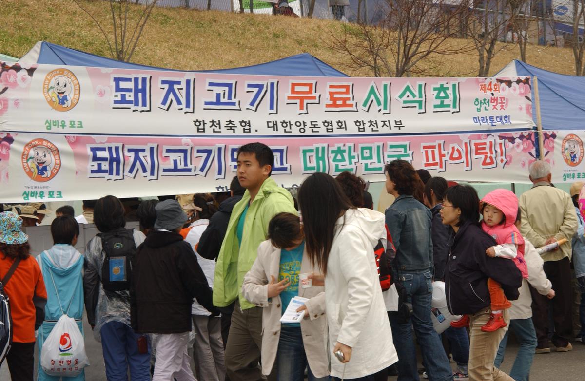 20050403 합천벚꽃마라톤대회11