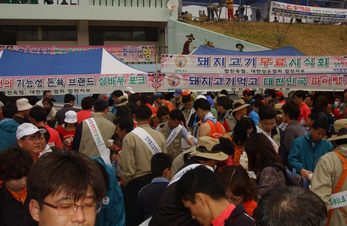 20050403 합천벚꽃마라톤대회12