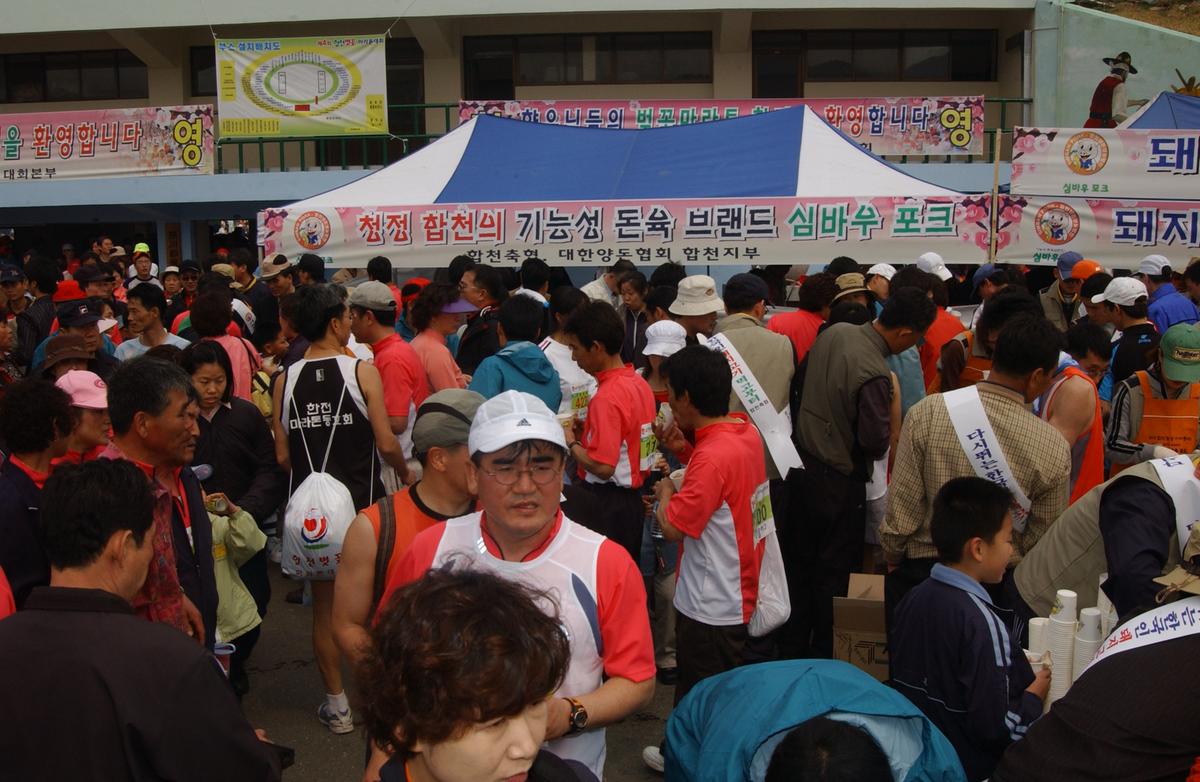 20050403 합천벚꽃마라톤대회12