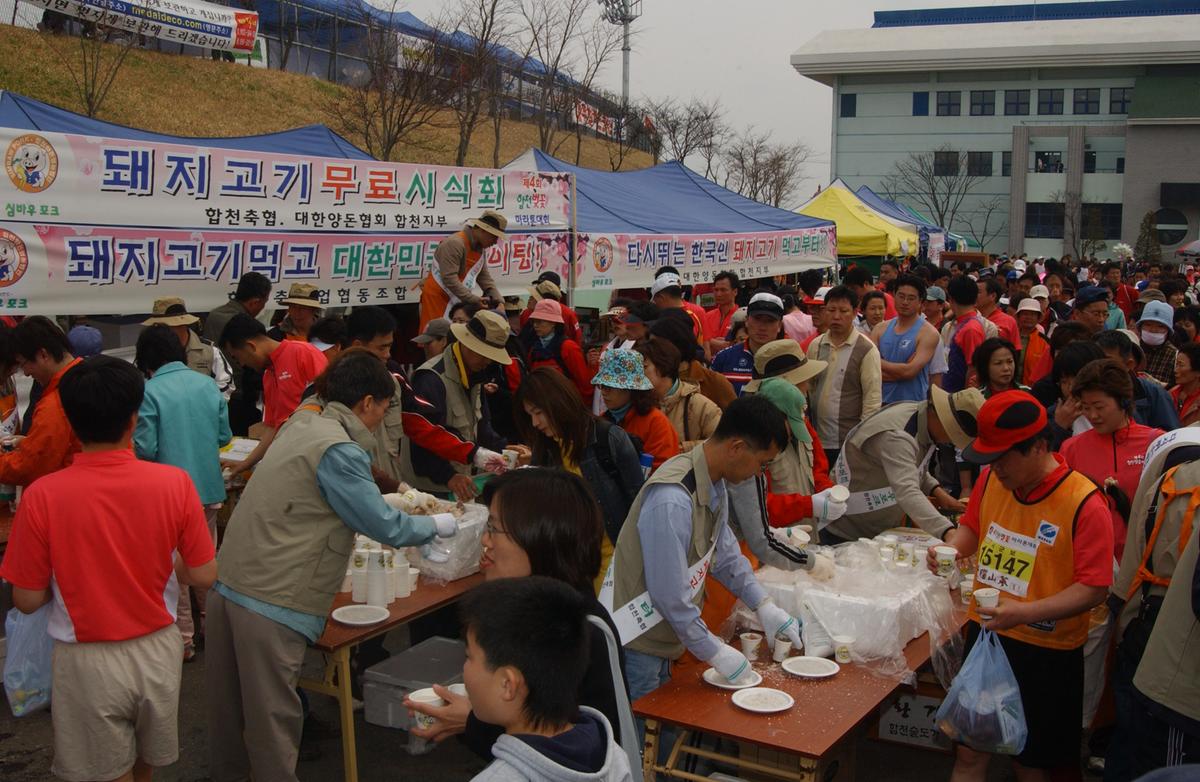 20050403 합천벚꽃마라톤대회12