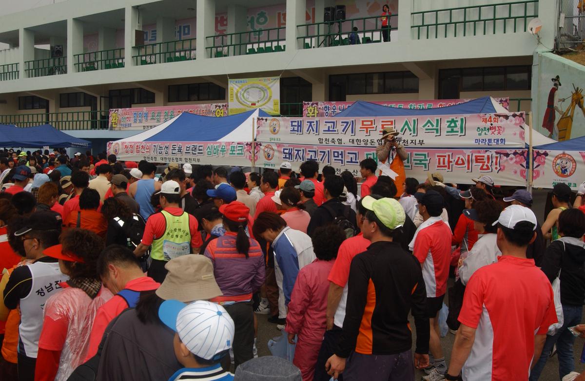 20050403 합천벚꽃마라톤대회13