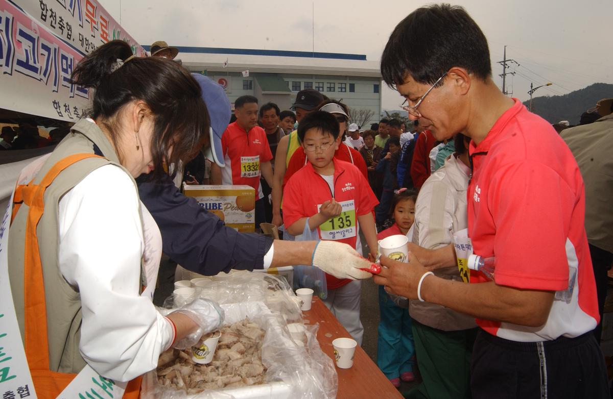20050403 합천벚꽃마라톤대회13