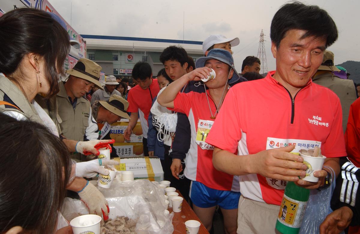 20050403 합천벚꽃마라톤대회13