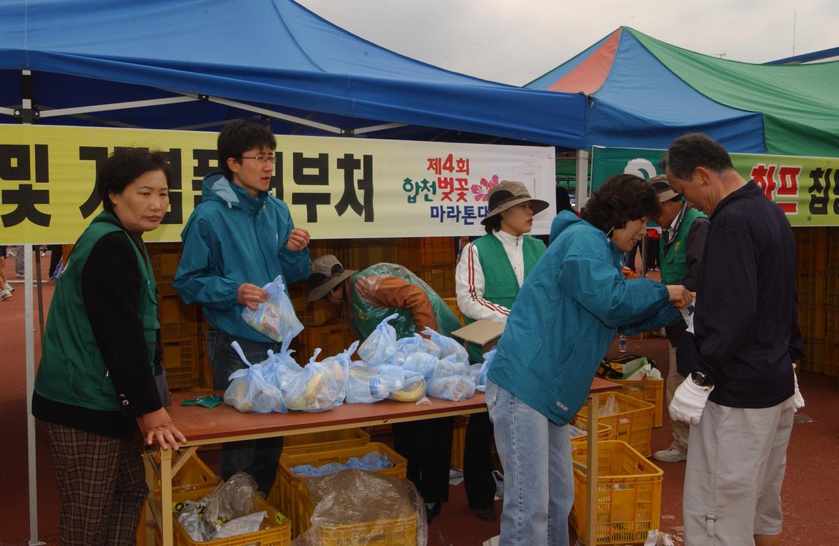20050403 합천벚꽃마라톤대회13