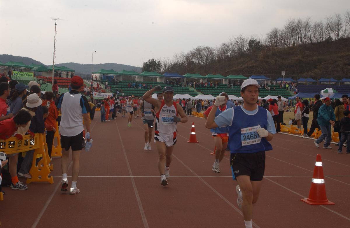 20050403 합천벚꽃마라톤대회13