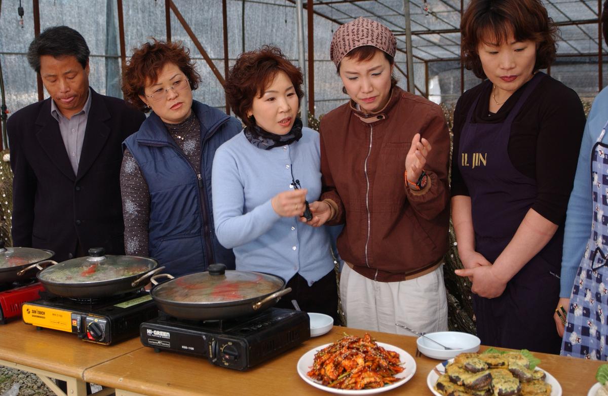 적중버섯,토마토20