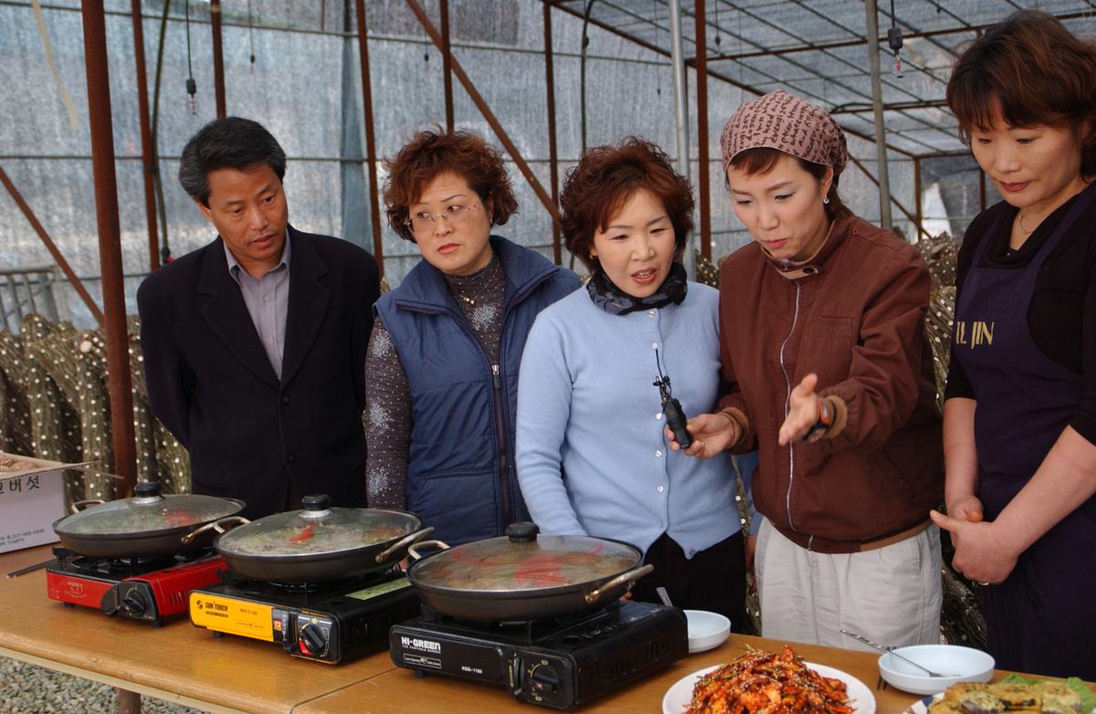 적중버섯,토마토21