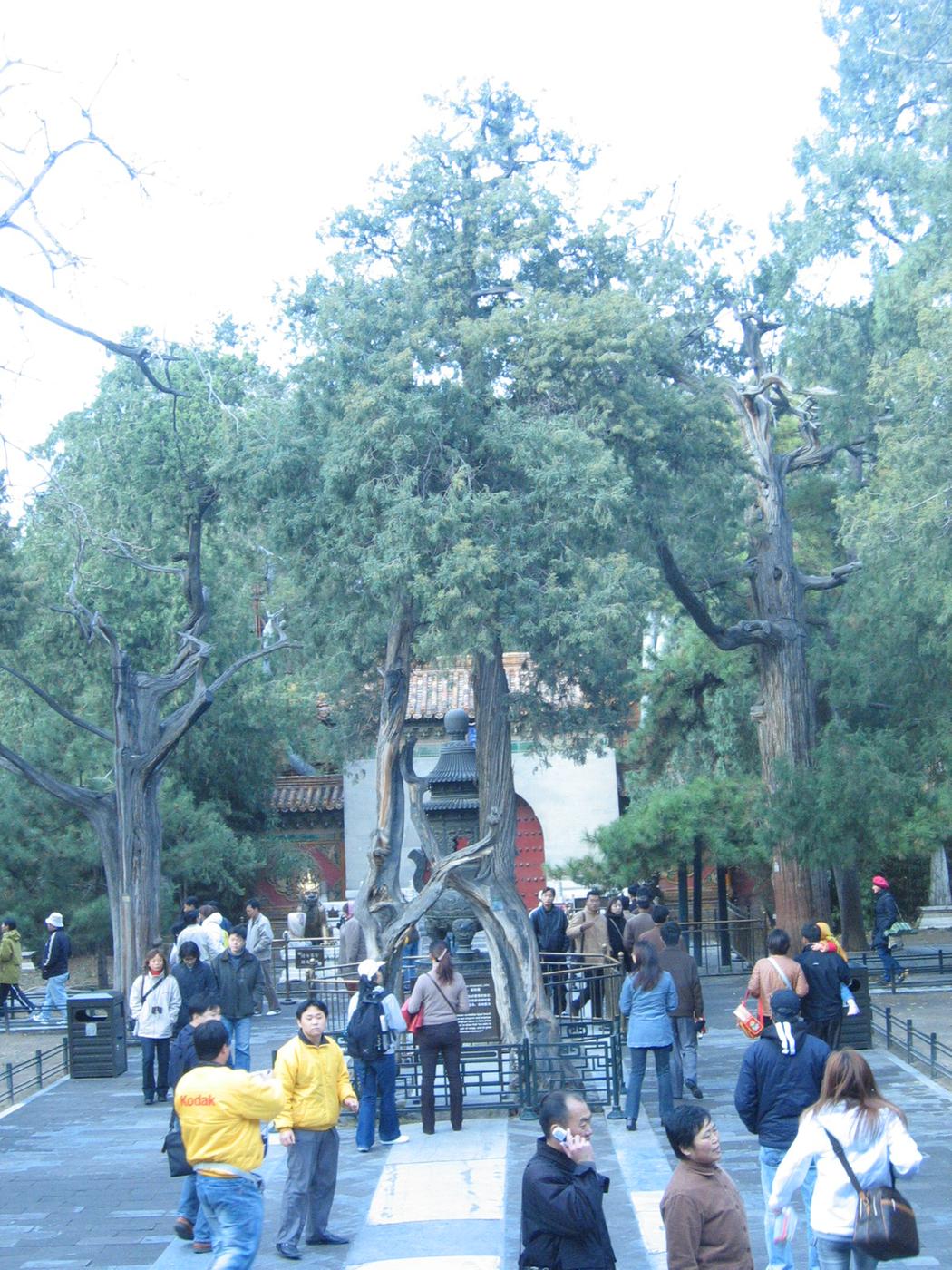 장기근속중국여행(1)11
