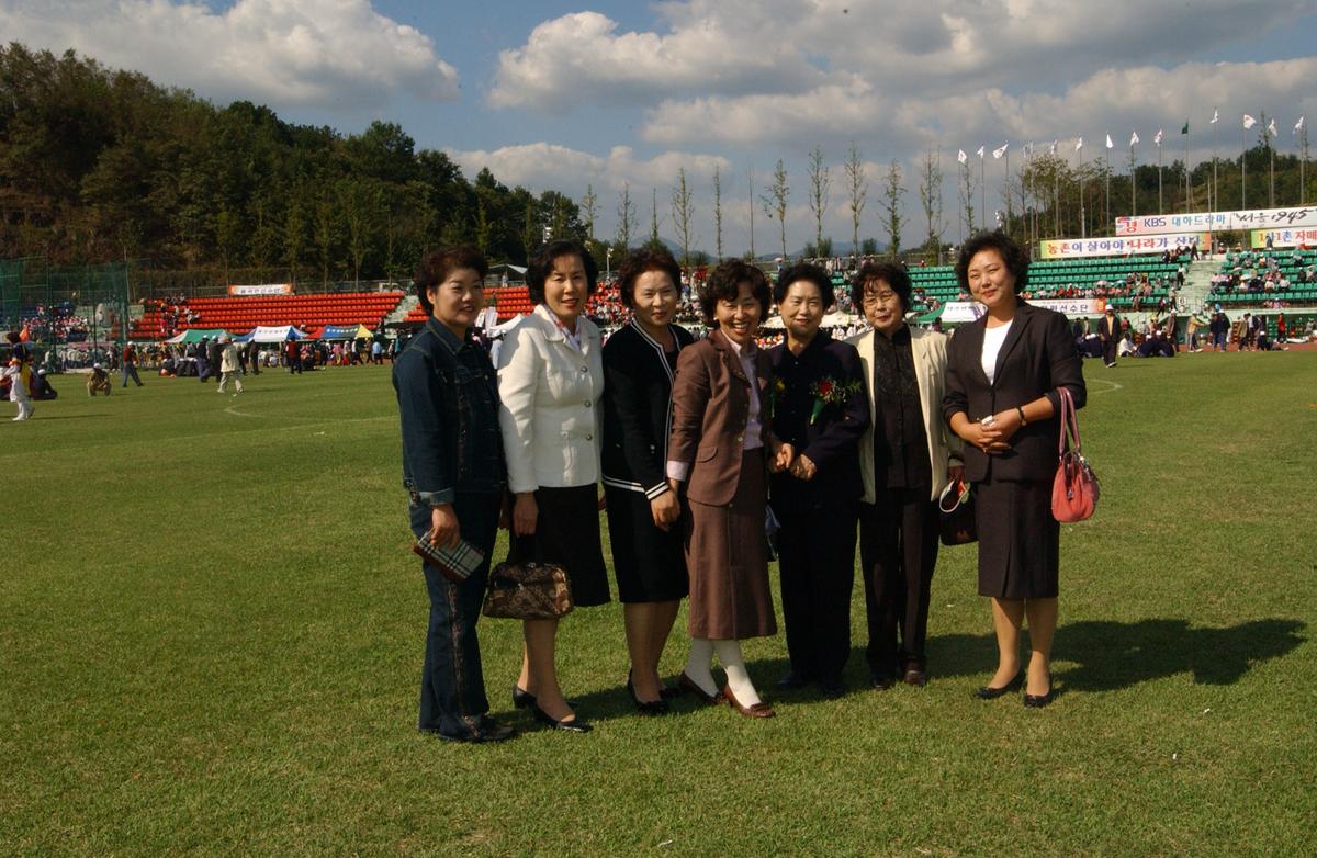 대야문화제인화