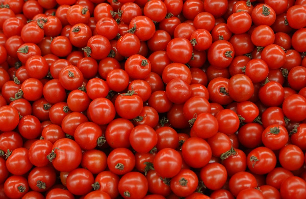 2005창원삼성홈프레스 농특산물