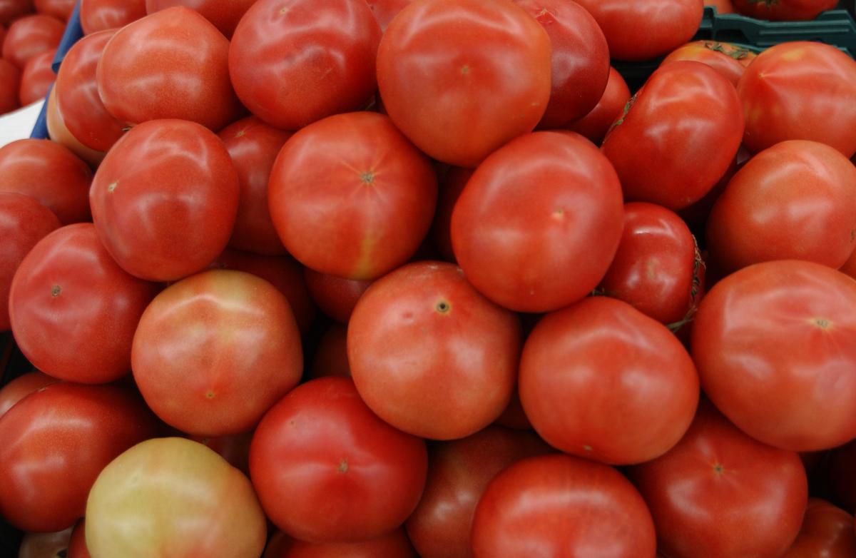 2005창원삼성홈프레스 농특산물