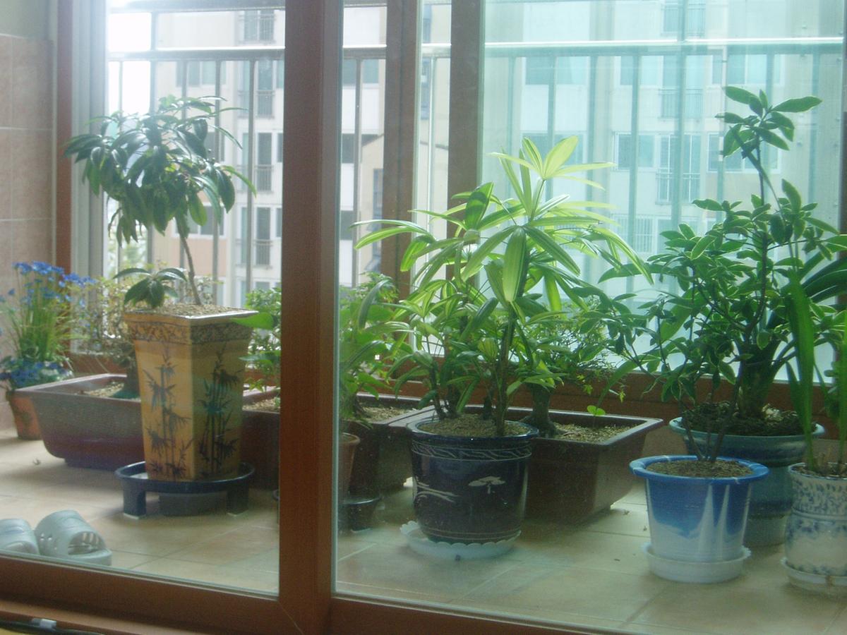 장기근속중국여행(7)10