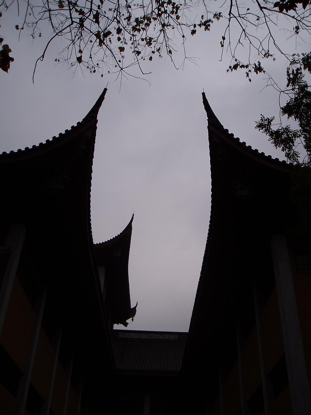 장기근속중국여행(7)19