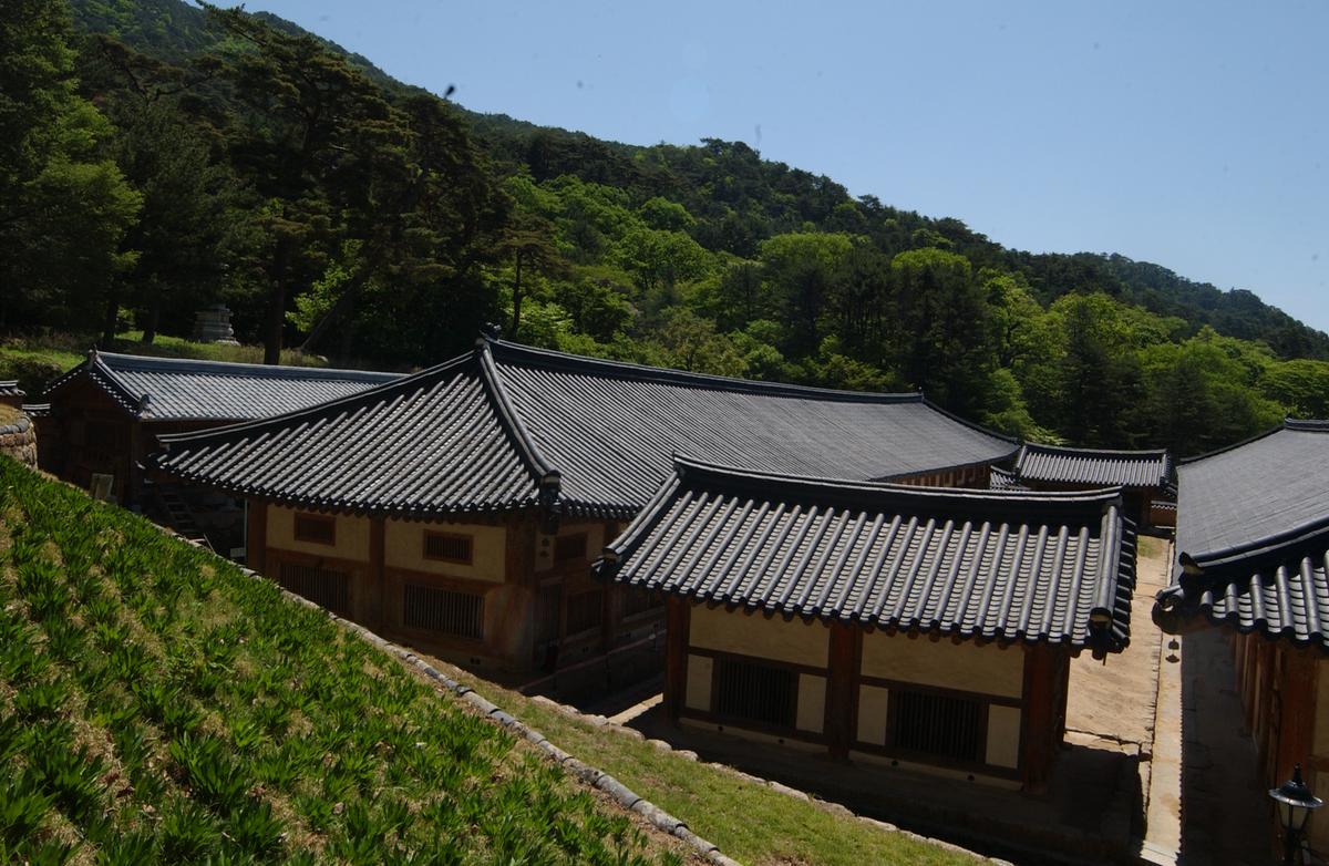 2005 해인사 판전및판각 자료-3