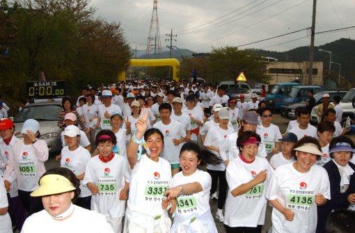 합천벛꽃마라톤달리기
