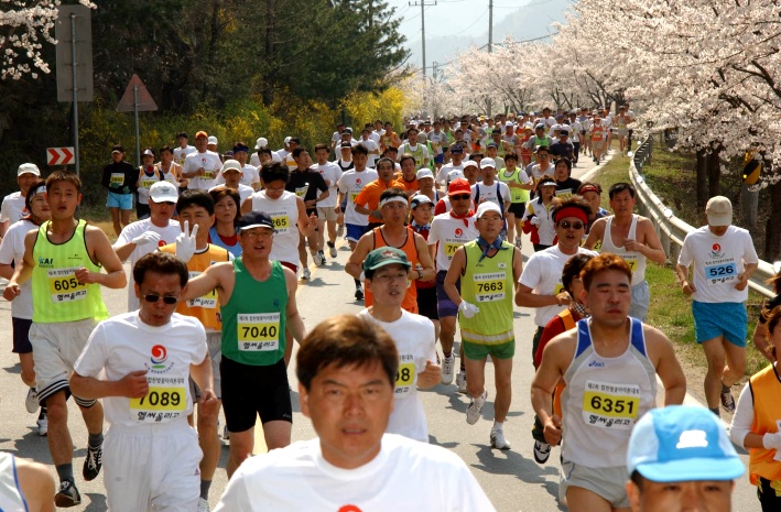 2003년 제2회 합천 벚꽃 마라톤대회2