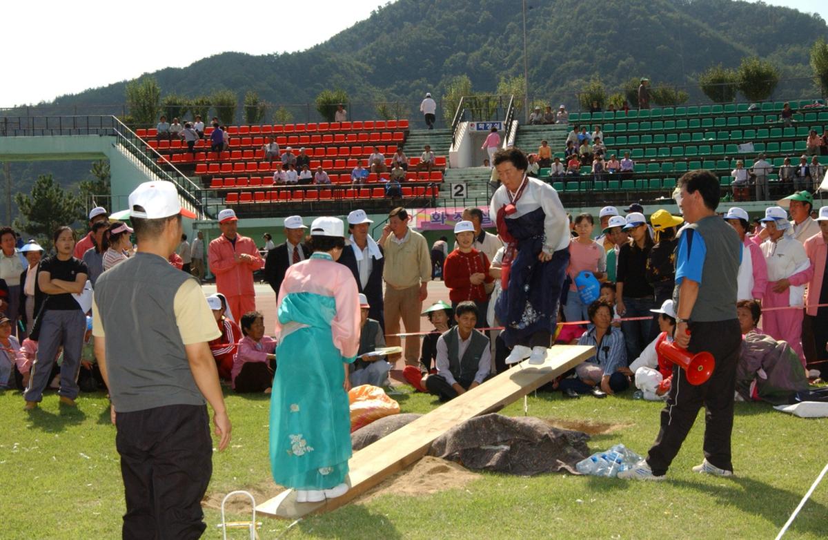 대야문화제널뛰기