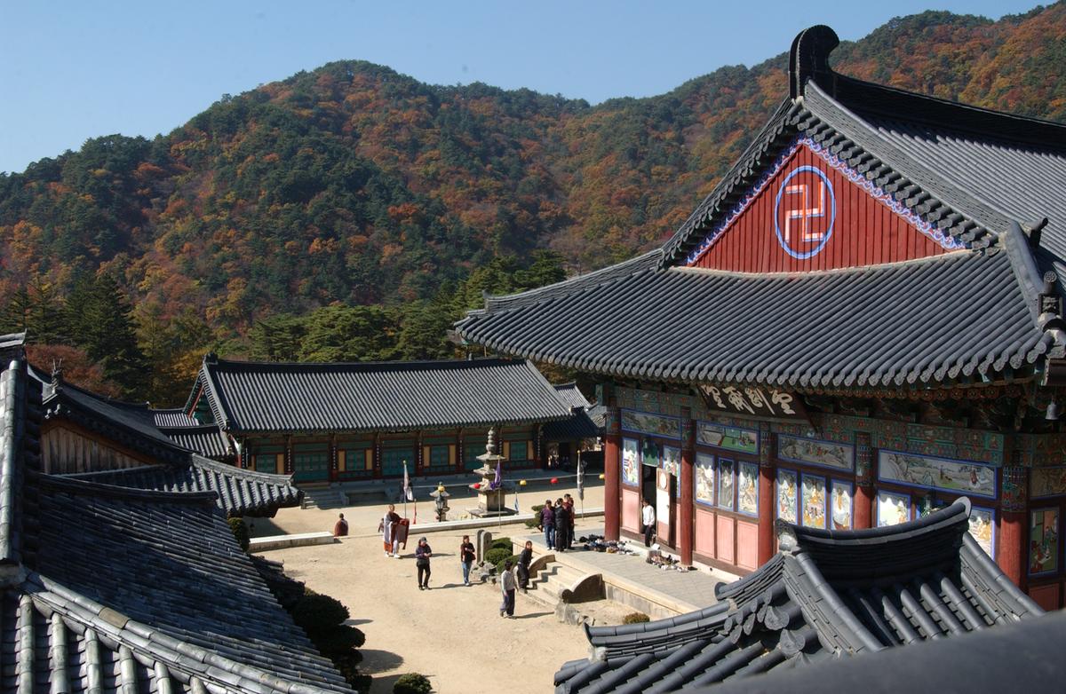 해인사단풍(2)10