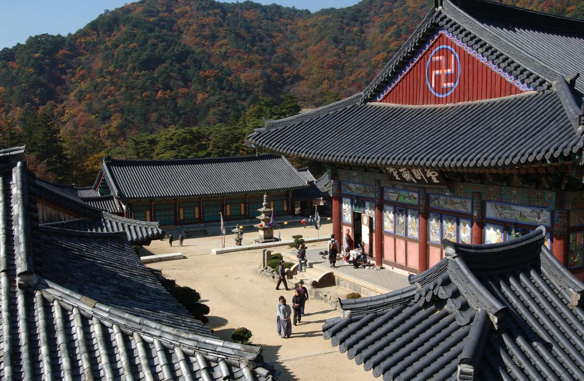 해인사단풍(2)11