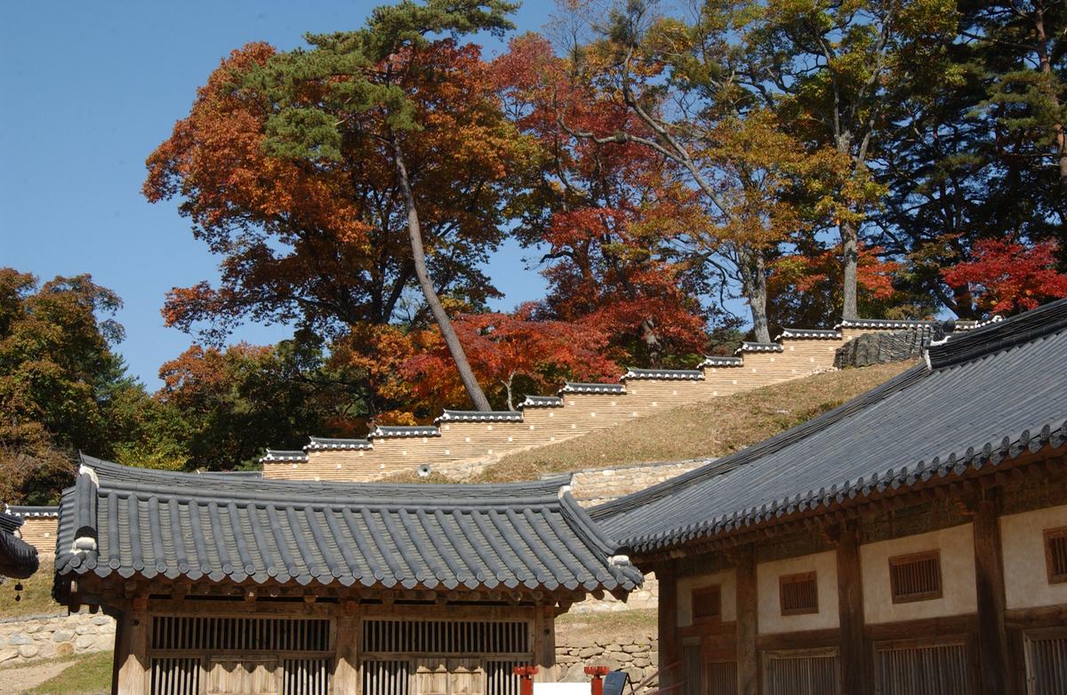 해인사단풍(2)16