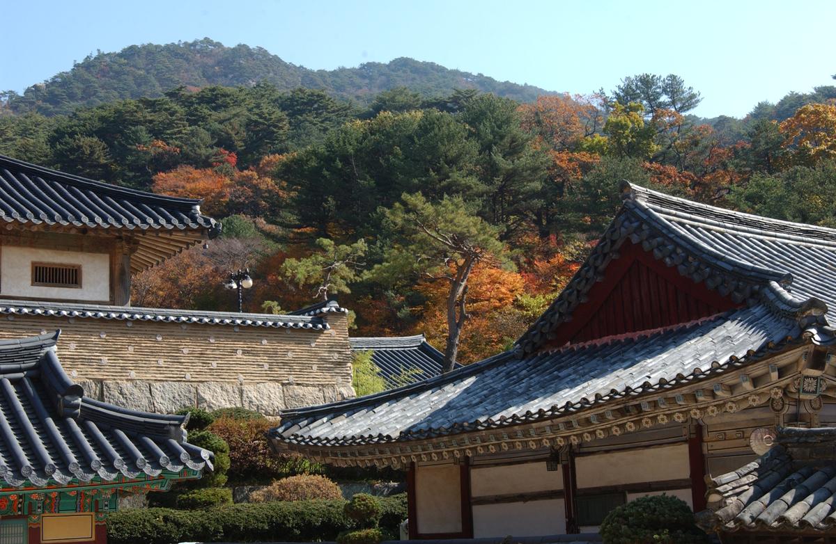 해인사단풍(2)19