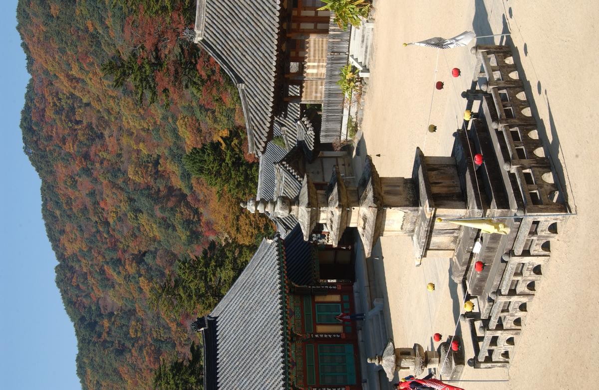 해인사단풍(2)20