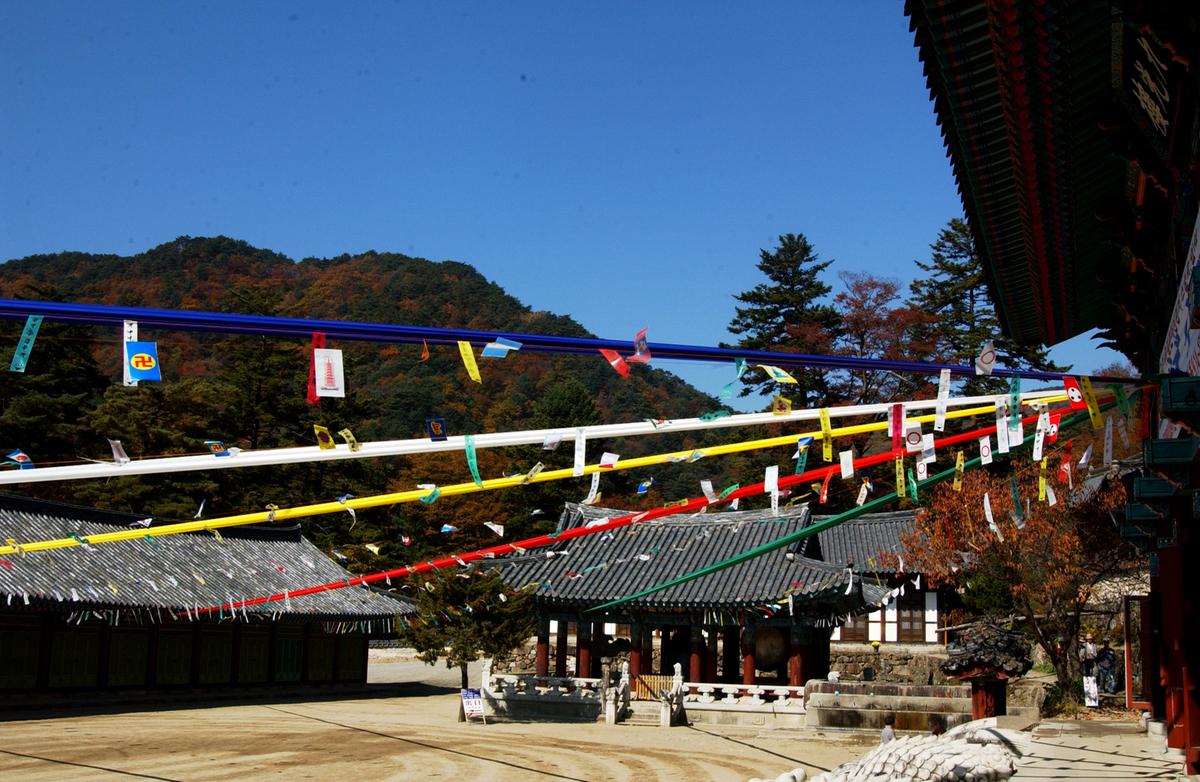 해인사단풍(2)21