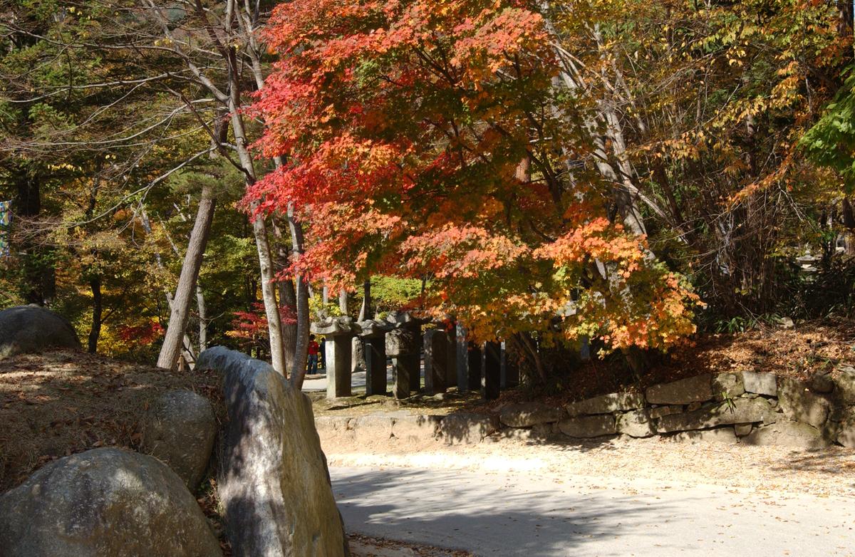 해인사단풍(2)22