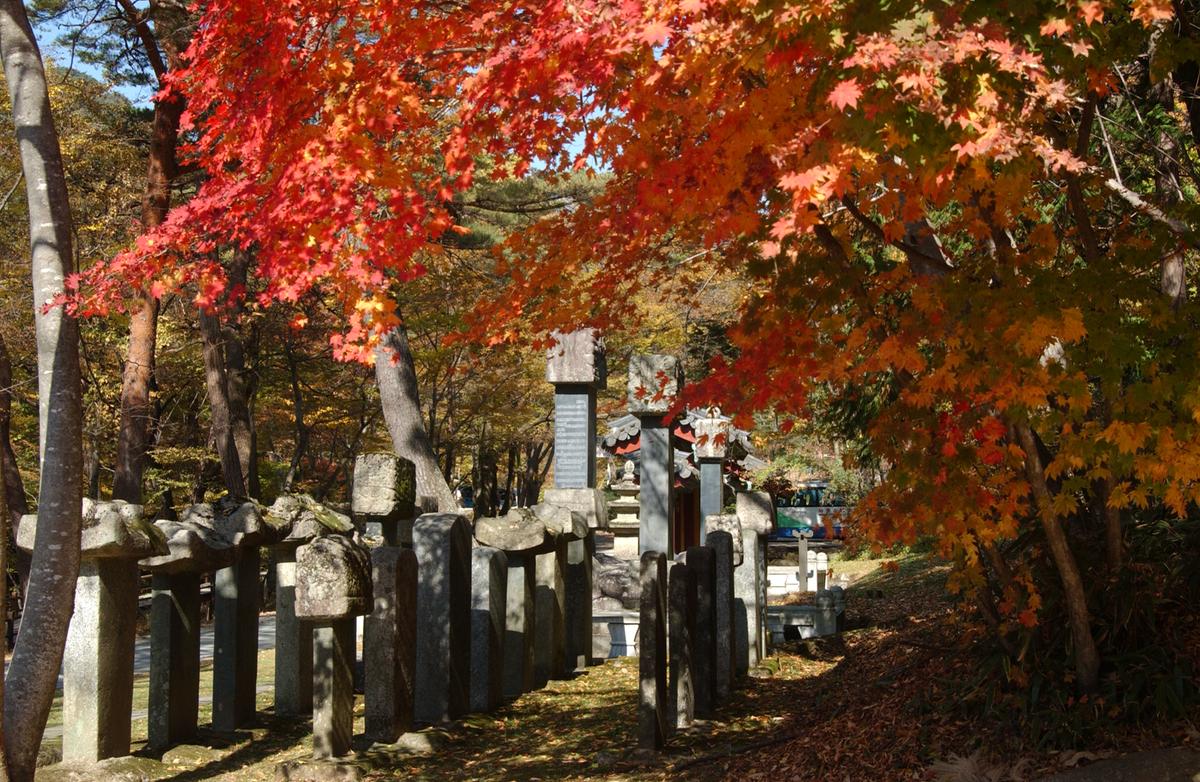 해인사단풍(2)24