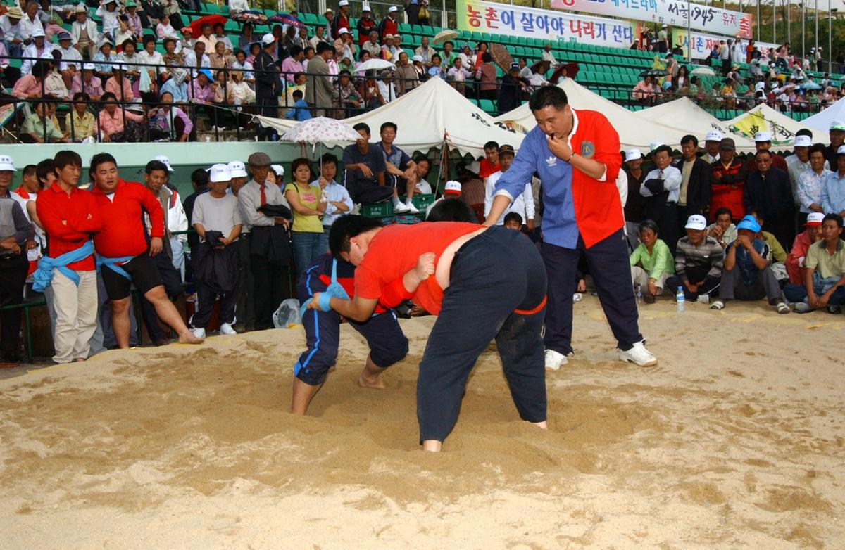 대야문화제씨름